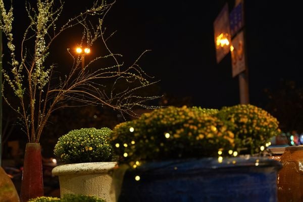  Bình ống cao men đỏ mận cổ nhỏ cắm Tuyết Mai, bình cắm hoa gốm Nam Bộ, R8 x C42cm- SP001460 