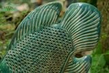  Cá Tai Tượng lọng xanh đồng, trang trí lọng đèn, gốm thủ công mỹ nghệ Nam Bộ, C48xD45 cm-01010ca084 