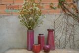  Bình hình nấm C28xR11(Cái) - SP001464 