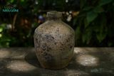  Bình cắm hoa khô, chậu trồng cây, gốm decor Giáng sinh, miệng nhỏ, C15xR18xM7cm - SP002538 