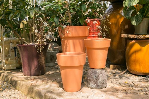  Chậu ly đất nung, gốm đất nung Nam Bộ, H25-H30-H40cm- SP000606 