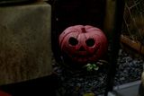  Tượng bí tròn sơn wax trang trí Halloween, R30xC33 cm- SP000284 