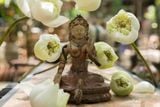  Tượng Quan âm Tara màu đỏ hoàng hôn, C25 x R20cm- 010601m043 
