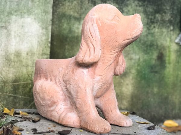  Chậu chó tai dài trồng cây, D40xR24xC40 cm- 0302c3d001 