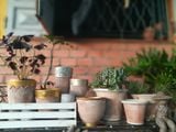  Chậu Terracotta, chậu đất nung, gốm Nam Bộ-  0302h3a001 