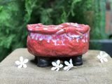  Chậu bonsai Kim 841, D18xR12xC11 cm- SP000762 