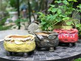  Chậu bonsai Kim 841, D18xR12xC11 cm- SP000762 