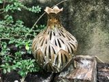  Bình lọng bầu cổ nhọn, H23 cm- 0121l3g630 