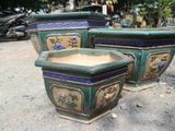  Chậu bonsai Lá, lục giác hoa, bộ 3- 0102l5c034 