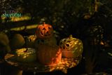  Tượng Bí tròn, Bí lọng trang trí Halloween, lễ hội, trong nhà ngoài trời- SP001105 