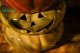  Tượng Bí tròn, Bí lọng trang trí Halloween, lễ hội, trong nhà ngoài trời- SP001105 