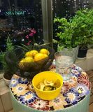  Đôn trụ tròn bách hoa, gốm thủ công mỹ nghệ Nam bộ, C40 x R40cm- 0205tr5073 