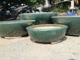  Chậu bonsai Lá, tròn chấm bi, bộ 4- 0102s3g034 