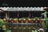  Lu kiệu rồng size trung đựng nước và trang trí phong cách Nam bộ, R38 x C60 cm- 0718r3t062 