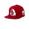 Mens Graphic Snapback , SKU : 10008727_613