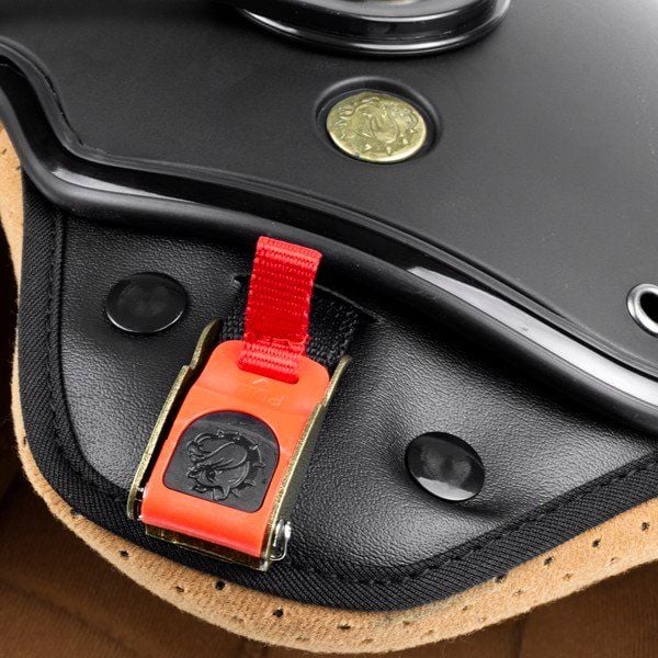 Bulldog pom sky bóng