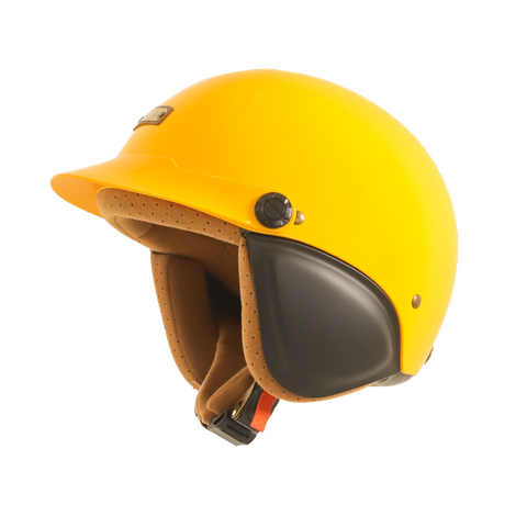 Bulldog Corgi Vàng Bóng