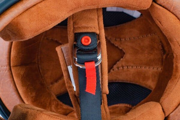 Bulldog dogo trắng đỏ xanh 2#A