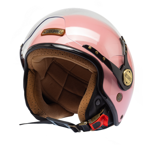 Bulldog pom hồng bóng