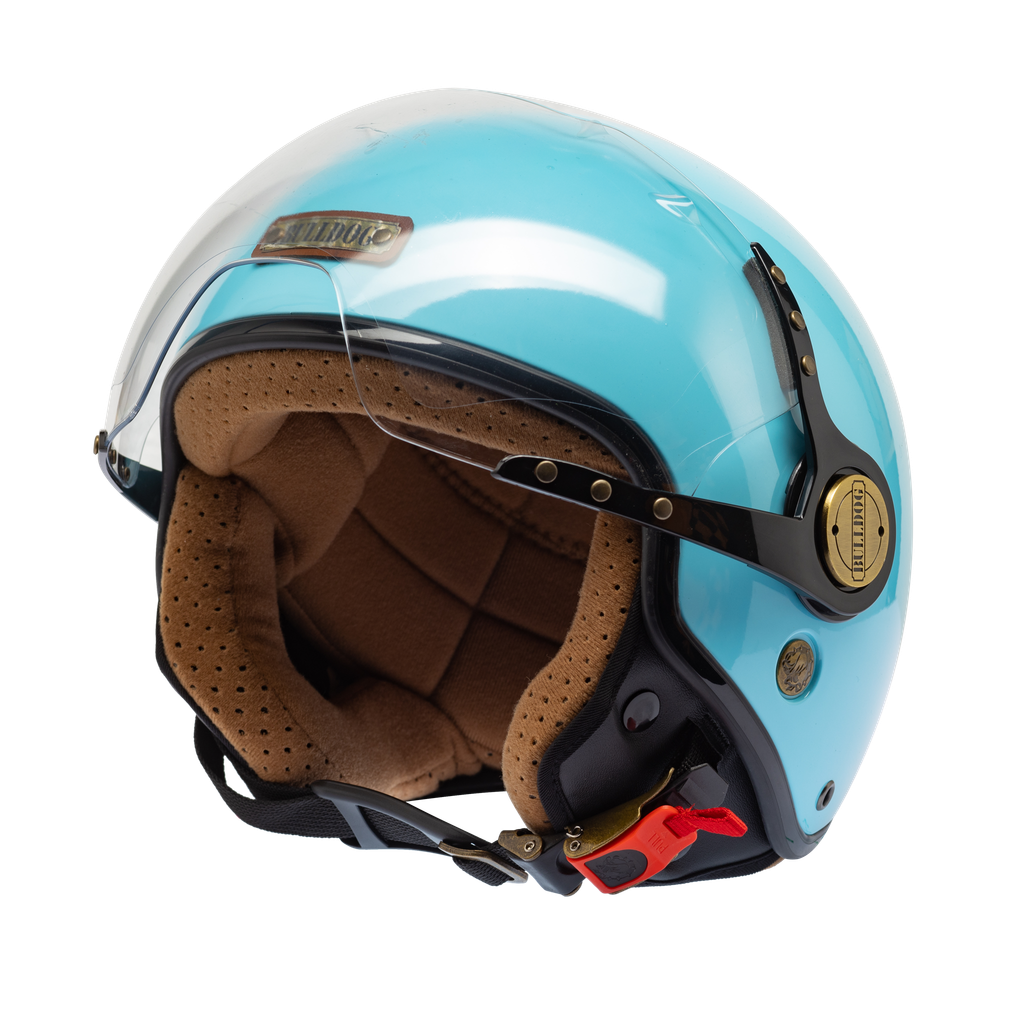 Bulldog pom sky bóng