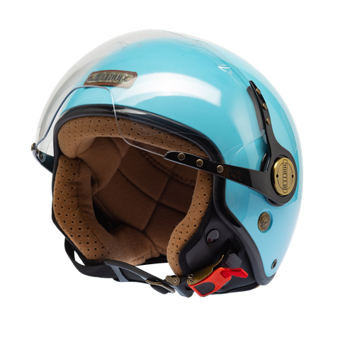 Bulldog pom sky bóng