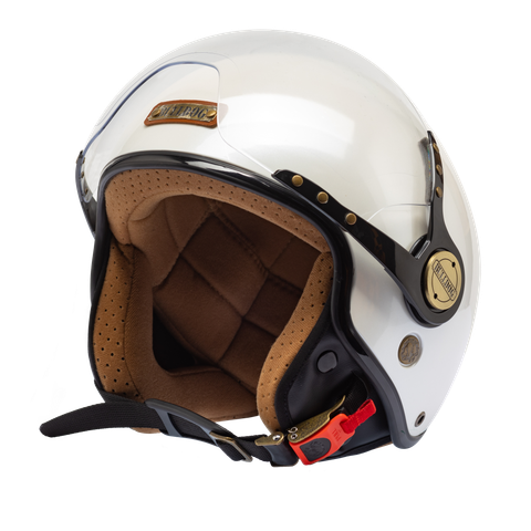 Bulldog pom trắng bóng