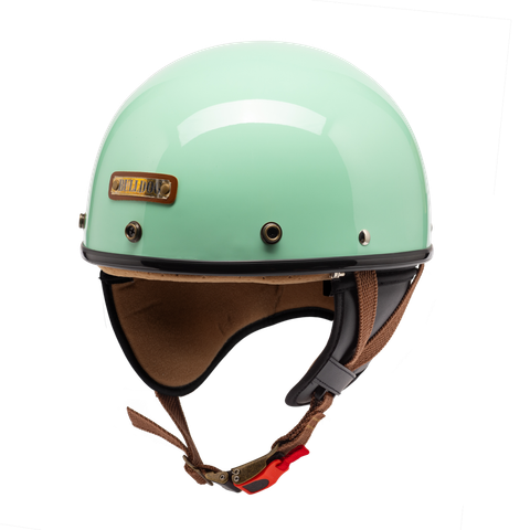 Bulldog pug mint bóng