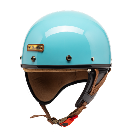 Bulldog pug sky bóng