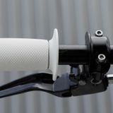 Biltwell grips 1