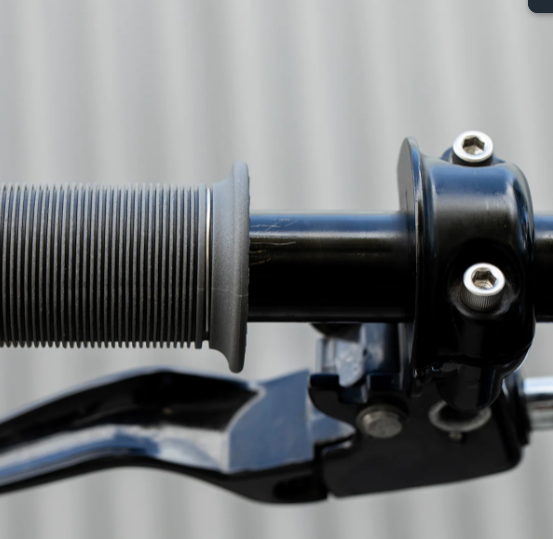 Biltwell grips 1