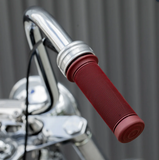 Biltwell grips 1