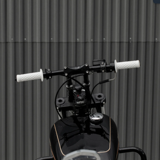 Biltwell grips 1