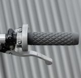 Biltwell grips 1