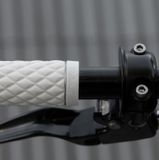 Biltwell grips 1