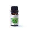 Tinh Dầu Bạc Hà Nguyên Chất Heebee 10Ml - Peppermint Organic Essential Oil