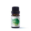 Tinh Dầu Tràm Trà Nguyên Chất Heebee 10ml – Tea Tree Melaleuca Organic Essential Oil