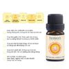 Tinh Dầu Xông Giải Cảm Cúm, Khử Khuẩn, Dưỡng Đẹp Da 10/50ML