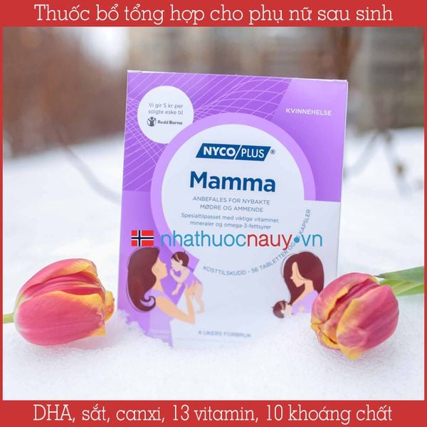 Thuốc bổ tổng hợp cho phụ nữ sau sinh | Nycoplus Mamma từ Na Uy