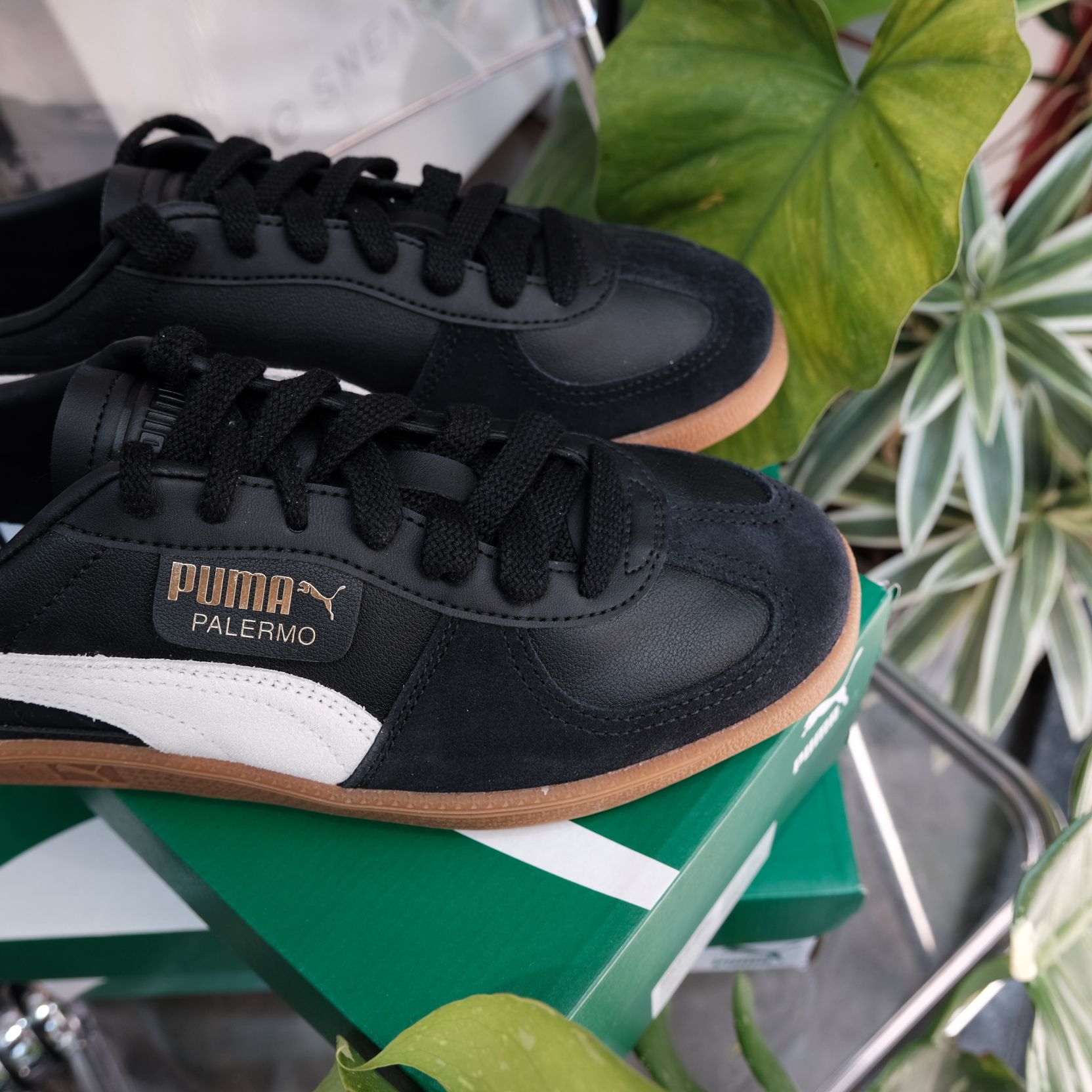  Giày Puma Palermo Black Feather Grey Gum 397647-03 