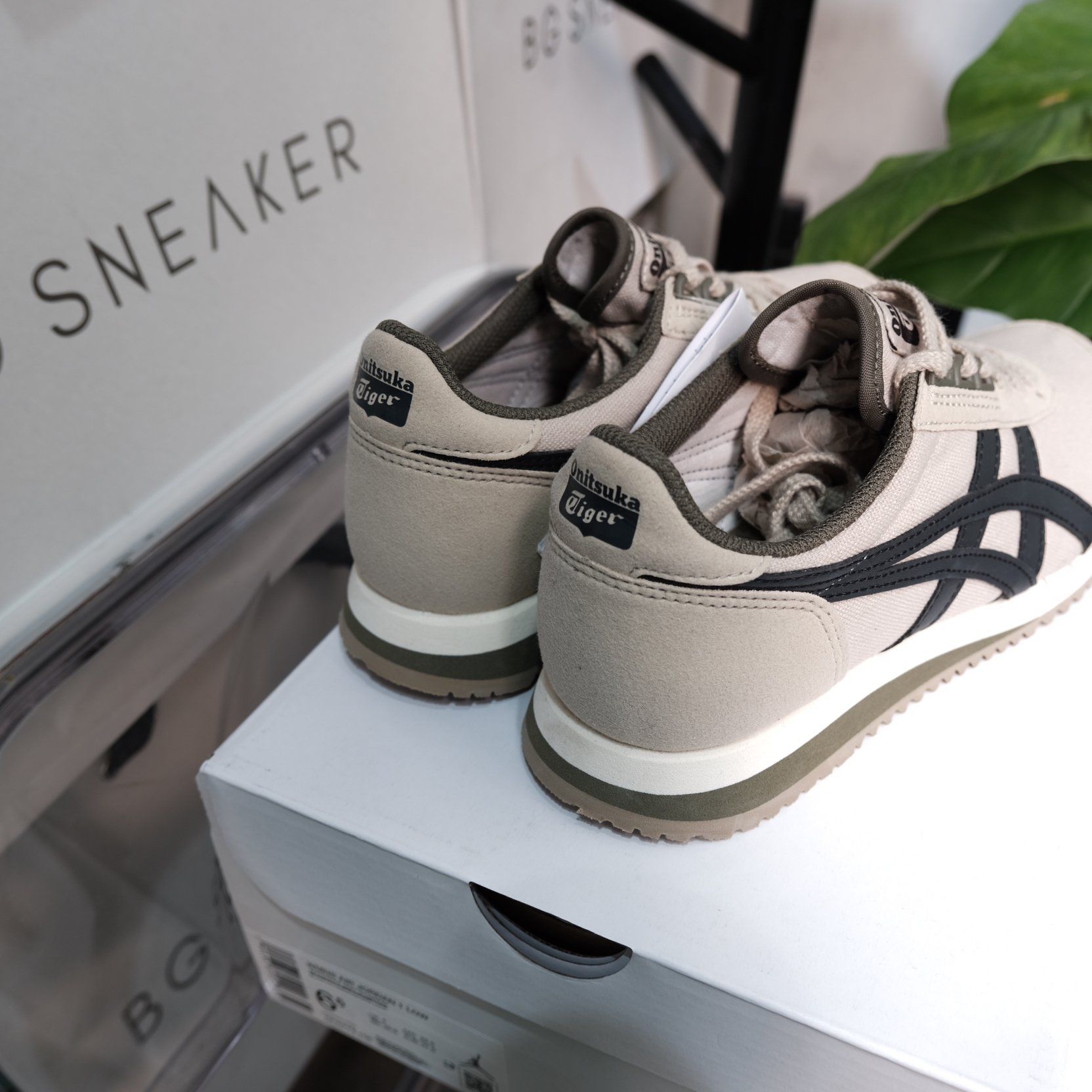  Giày Onitsuka Tiger Dualio Cream Grey Green  1183A856-201 