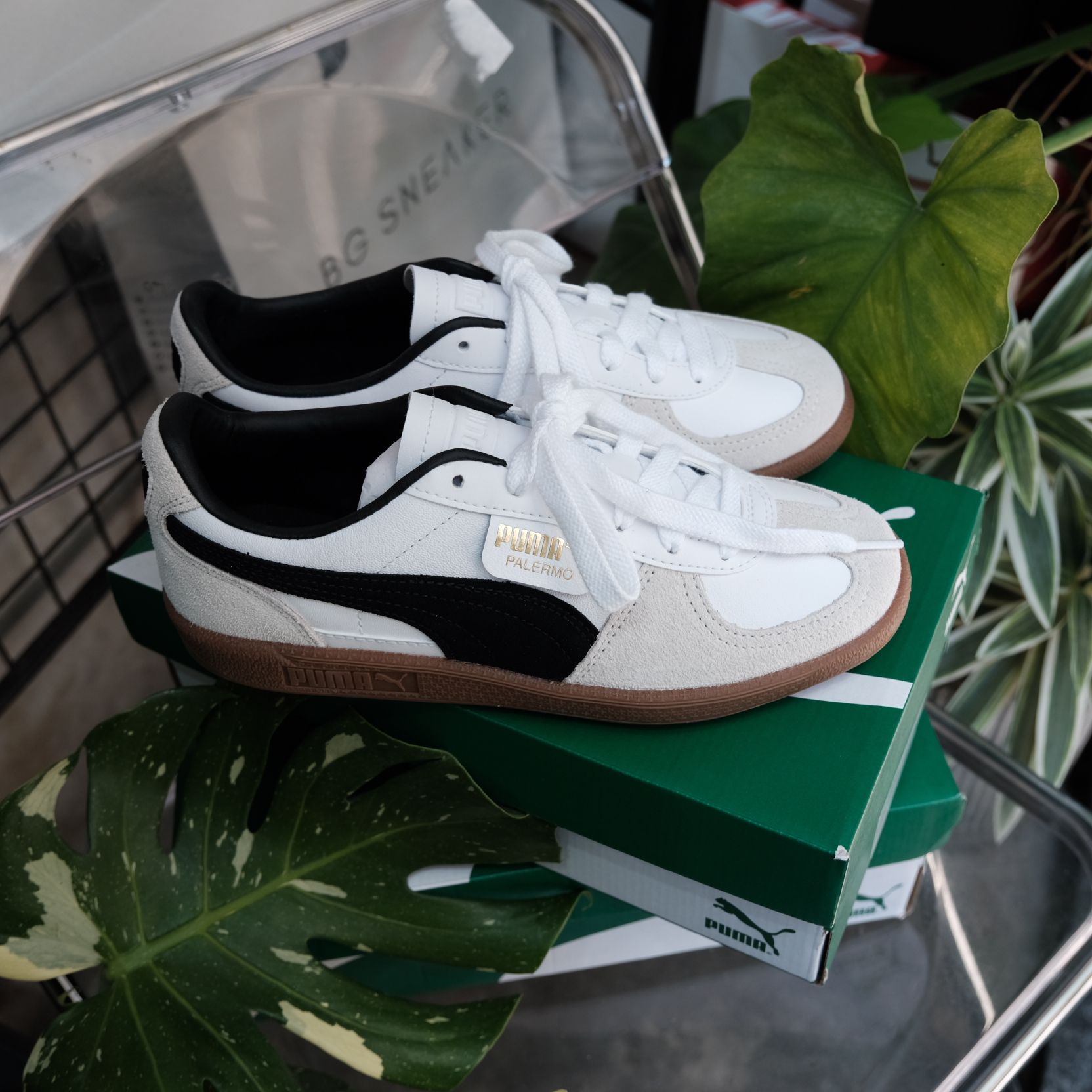  Giày Puma Palermo Leather White  Vapor Grey  397647-01 