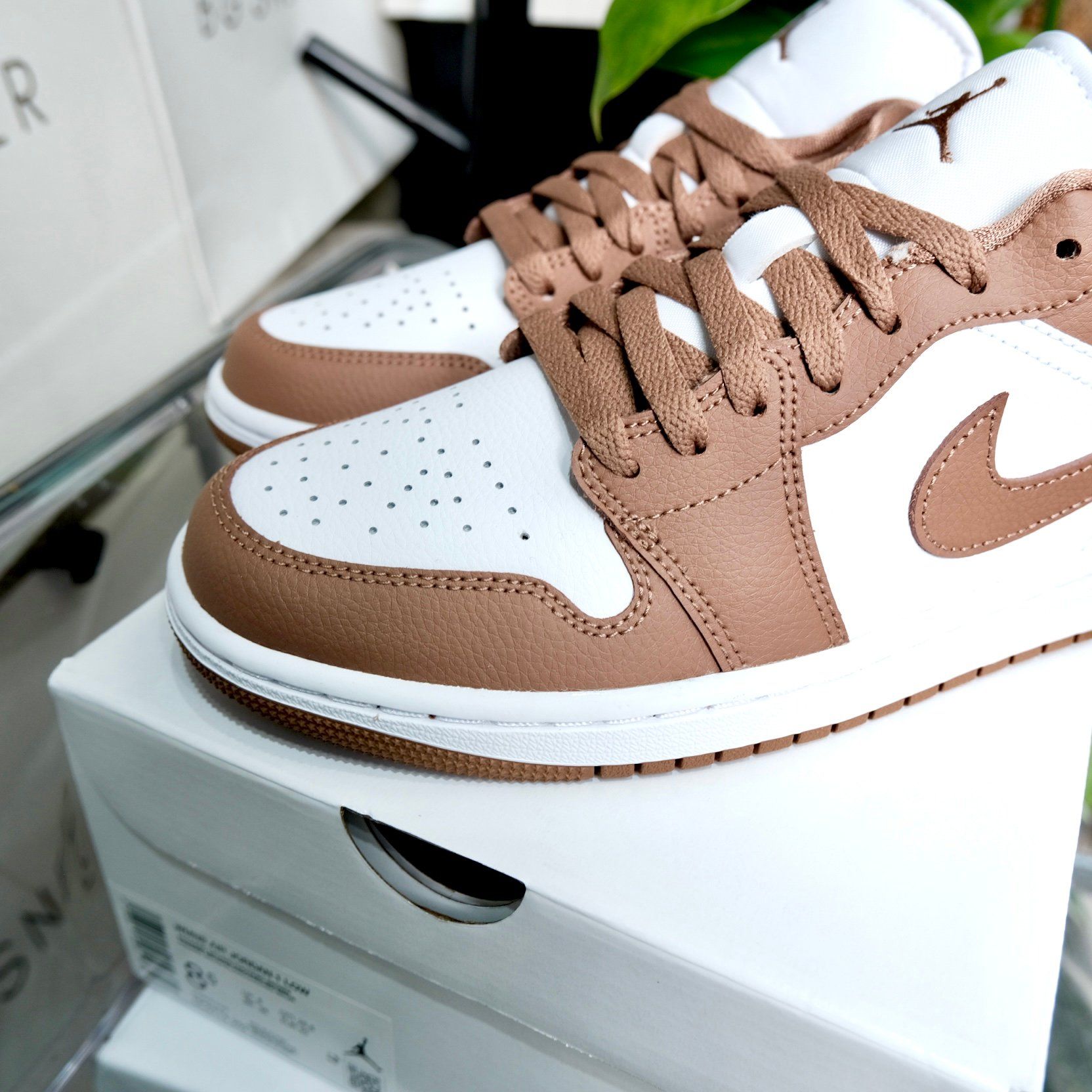  Giày Nike Air Jordan 1 Low Archaeo Brown White DC0774-202 