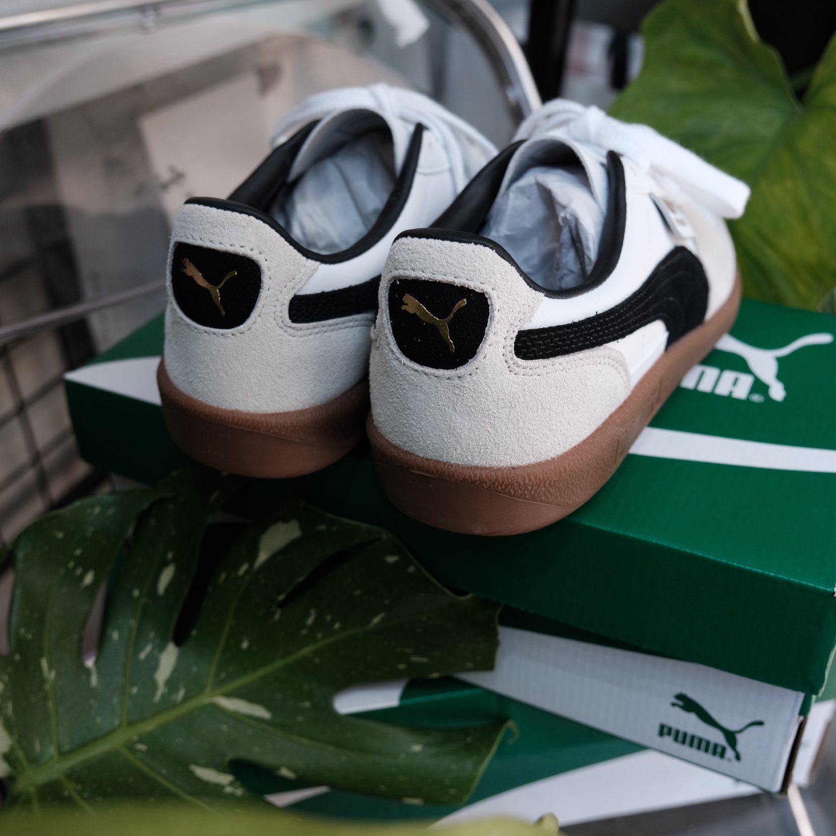  Giày Puma Palermo Leather White  Vapor Grey  397647-01 