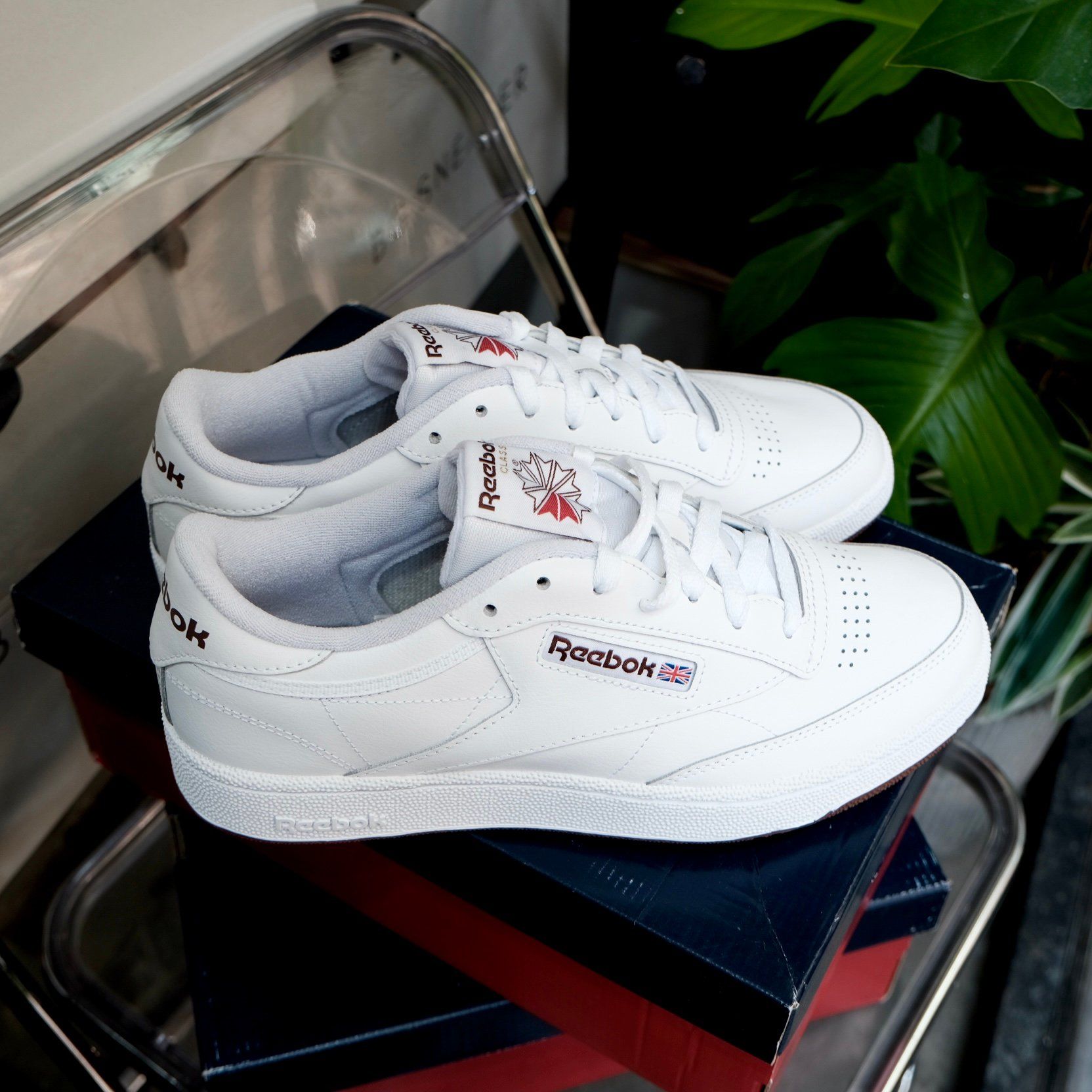  GIÀY Reebok Club C 85 - Cloud White / Trail Brown FZ6012 