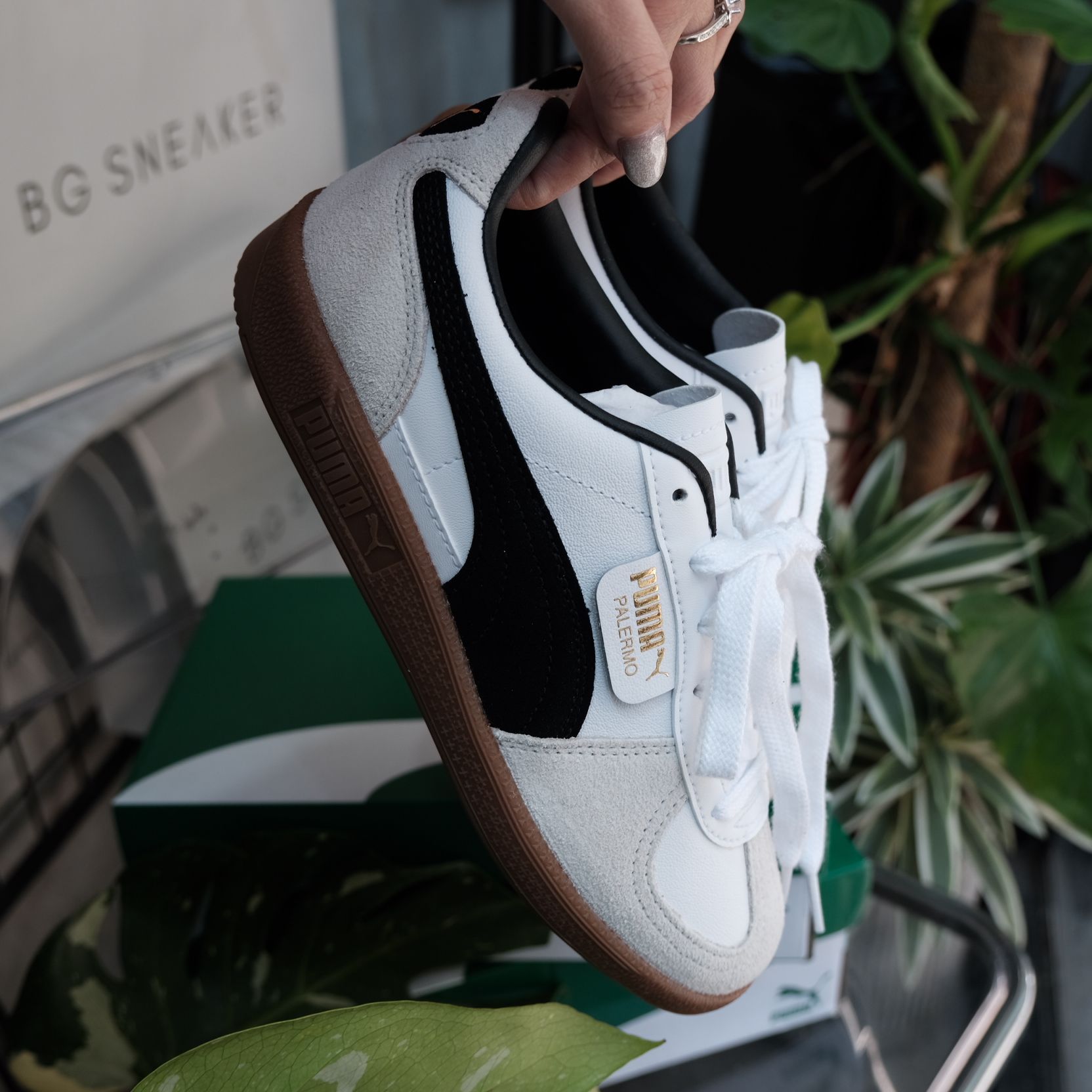  Giày Puma Palermo Leather White  Vapor Grey  397647-01 