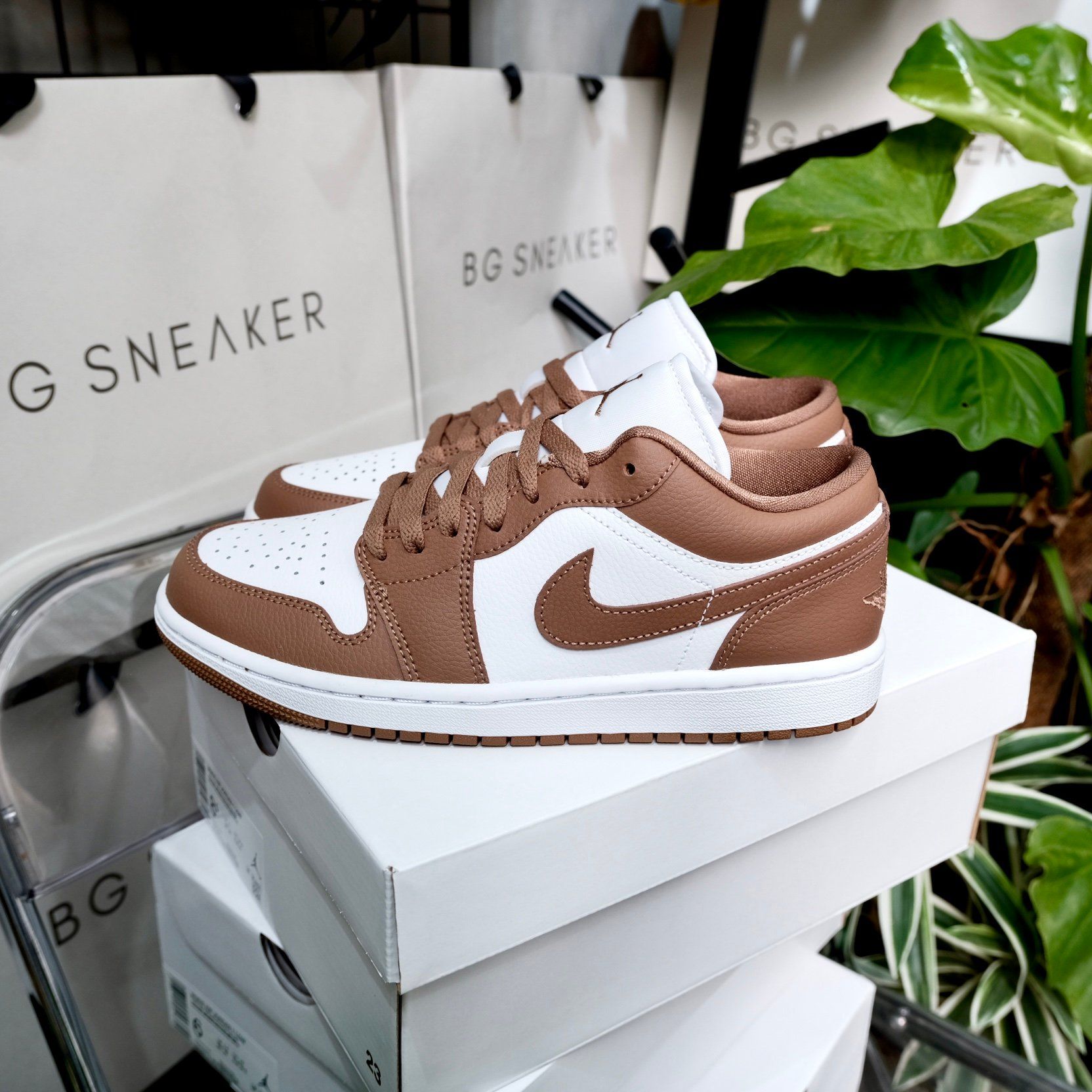  Giày Nike Air Jordan 1 Low Archaeo Brown White DC0774-202 