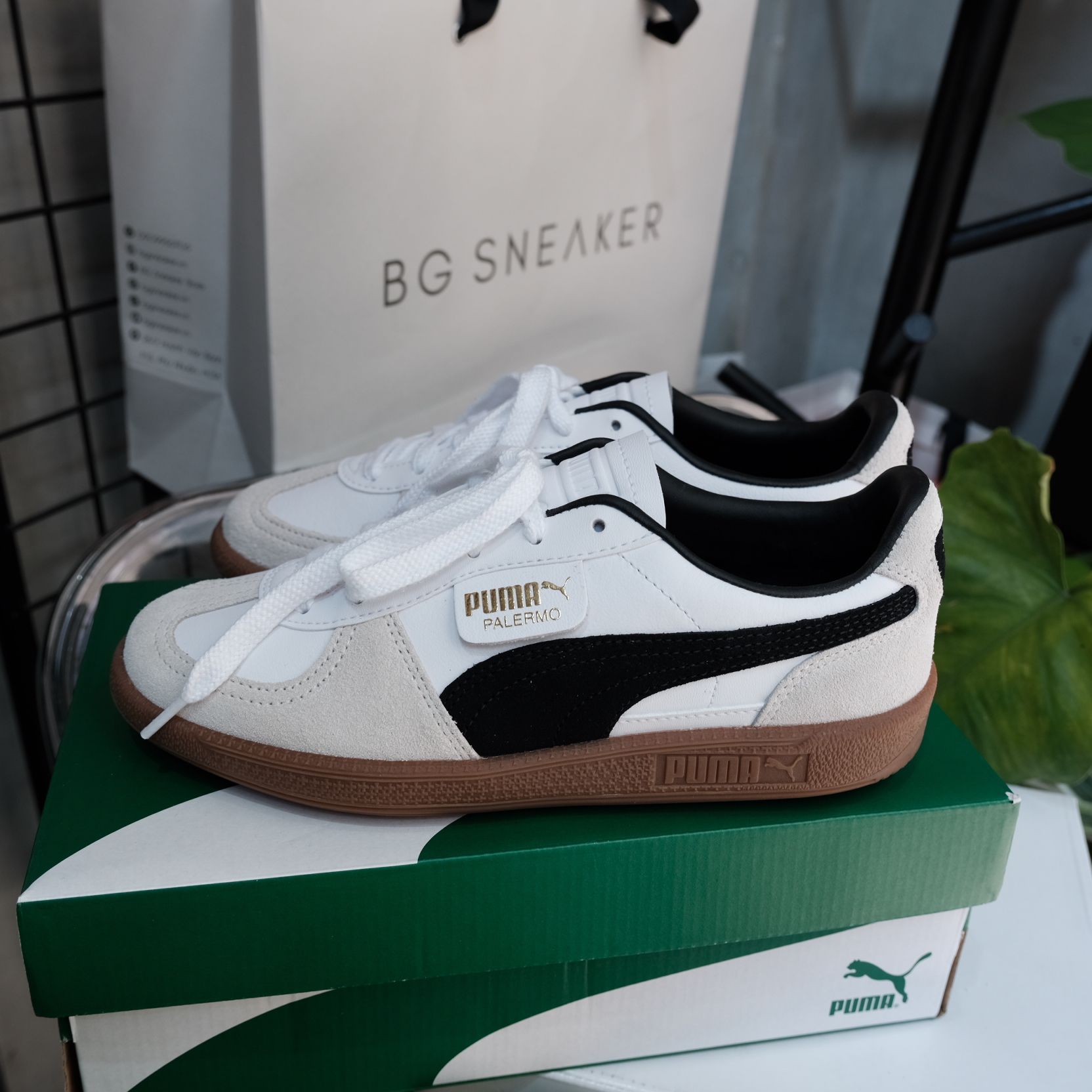  Giày Puma Palermo Leather White  Vapor Grey  397647-01 