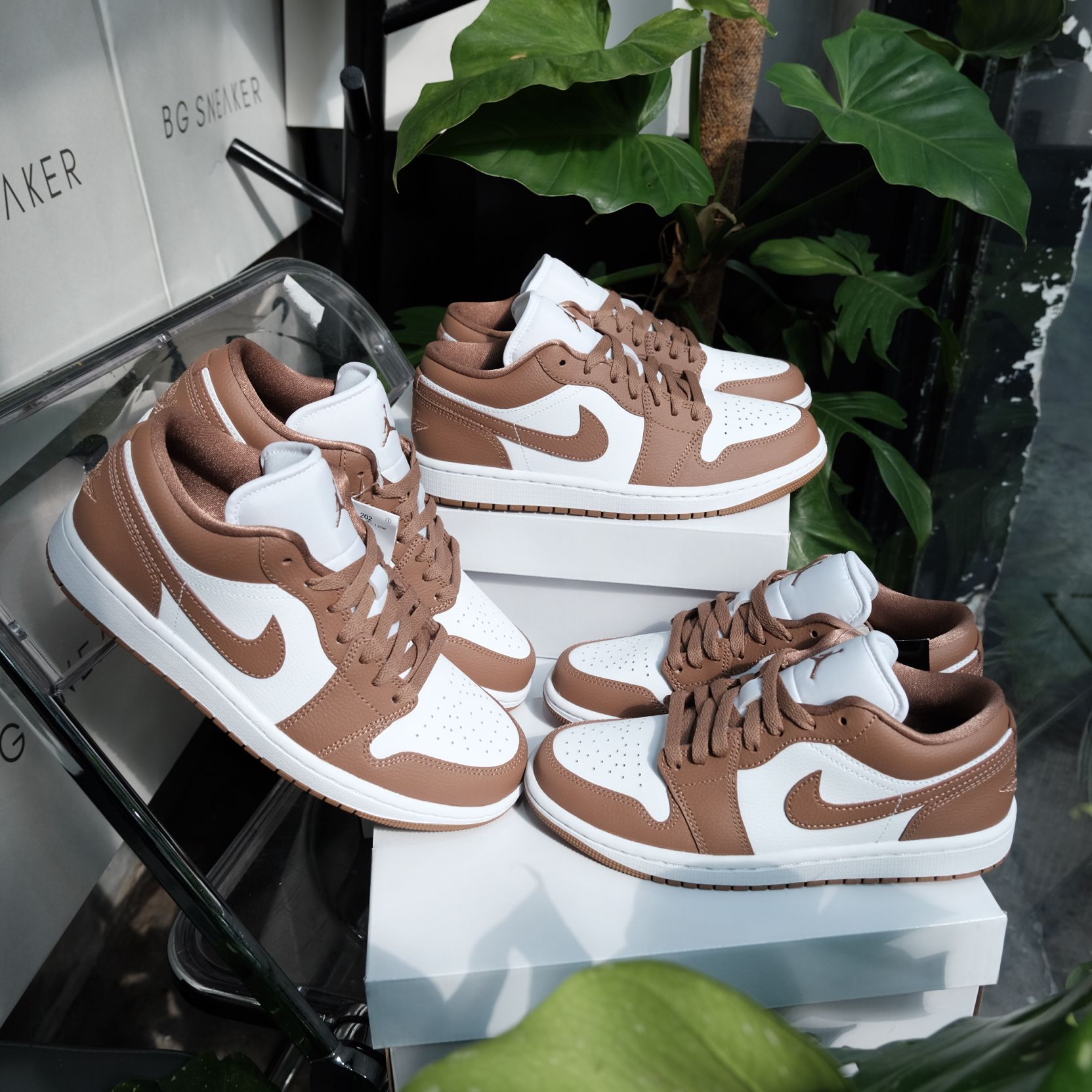  Giày Nike Air Jordan 1 Low Archaeo Brown White DC0774-202 