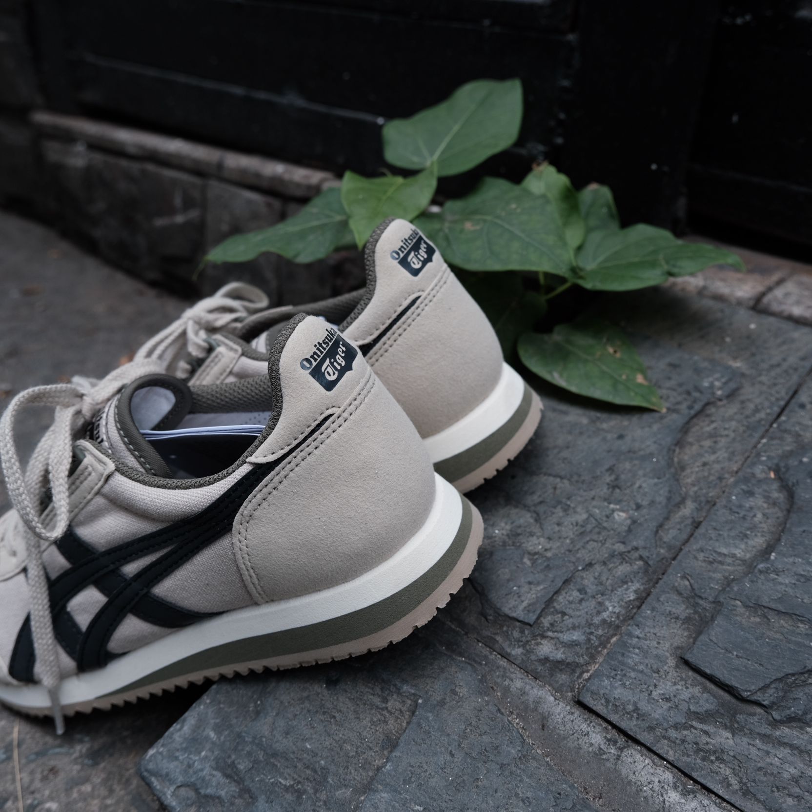  Giày Onitsuka Tiger Dualio Cream Grey Green  1183A856-201 