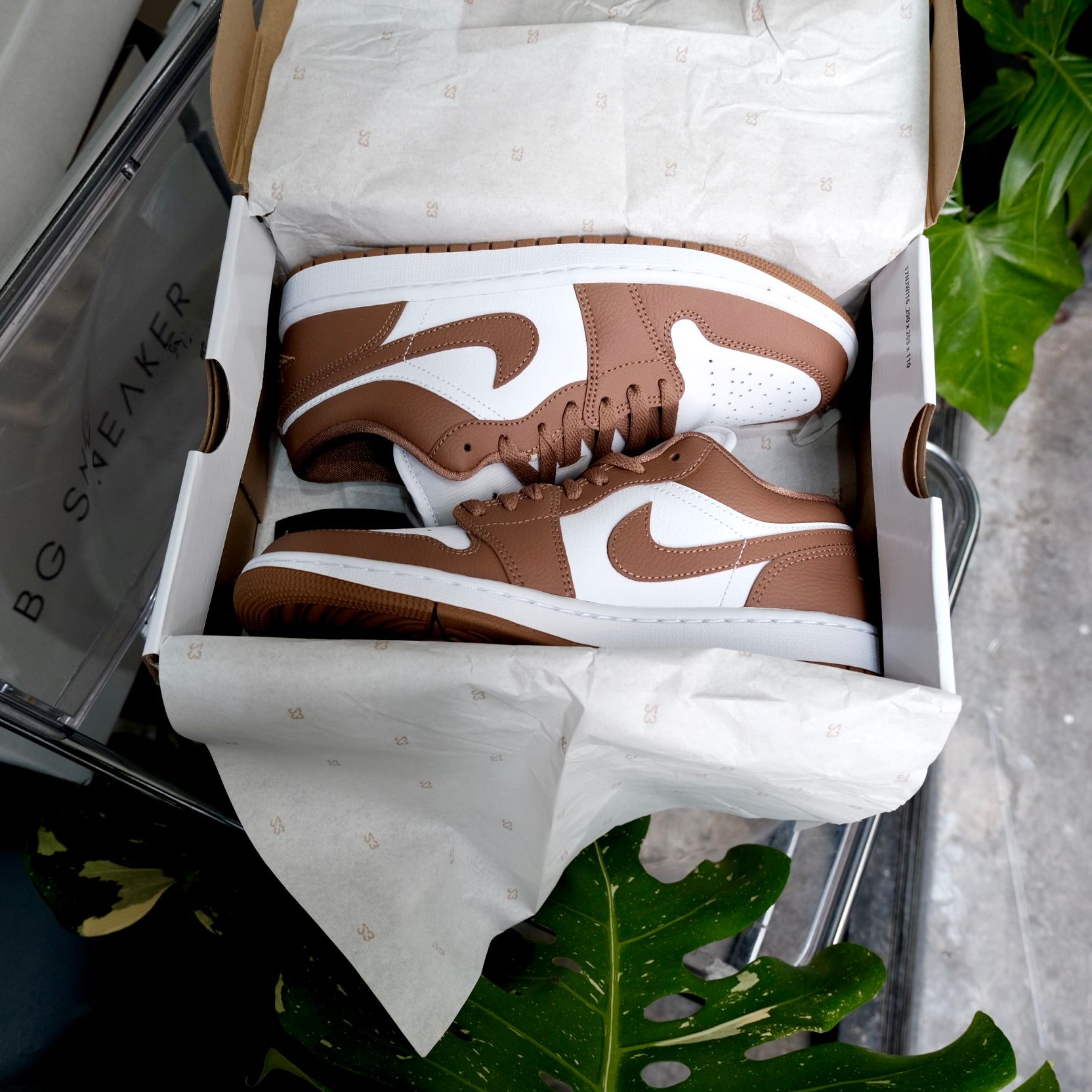  Giày Nike Air Jordan 1 Low Archaeo Brown White DC0774-202 